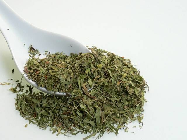 Stevia (Şeker Otu) Kurutulmuş Yaprak 100 gr