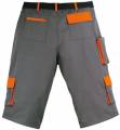 PADDOCK Short