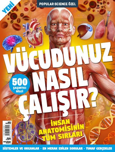 VÜCUDUNUZ NASIL ÇALIŞIR?