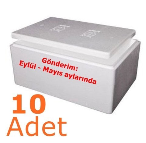 Dondurulmuş Künefe 10 Adet