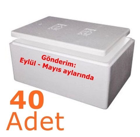 Dondurulmuş Künefe 40 Adet