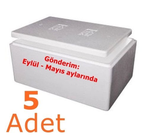 Dondurulmuş Künefe 5 Adet