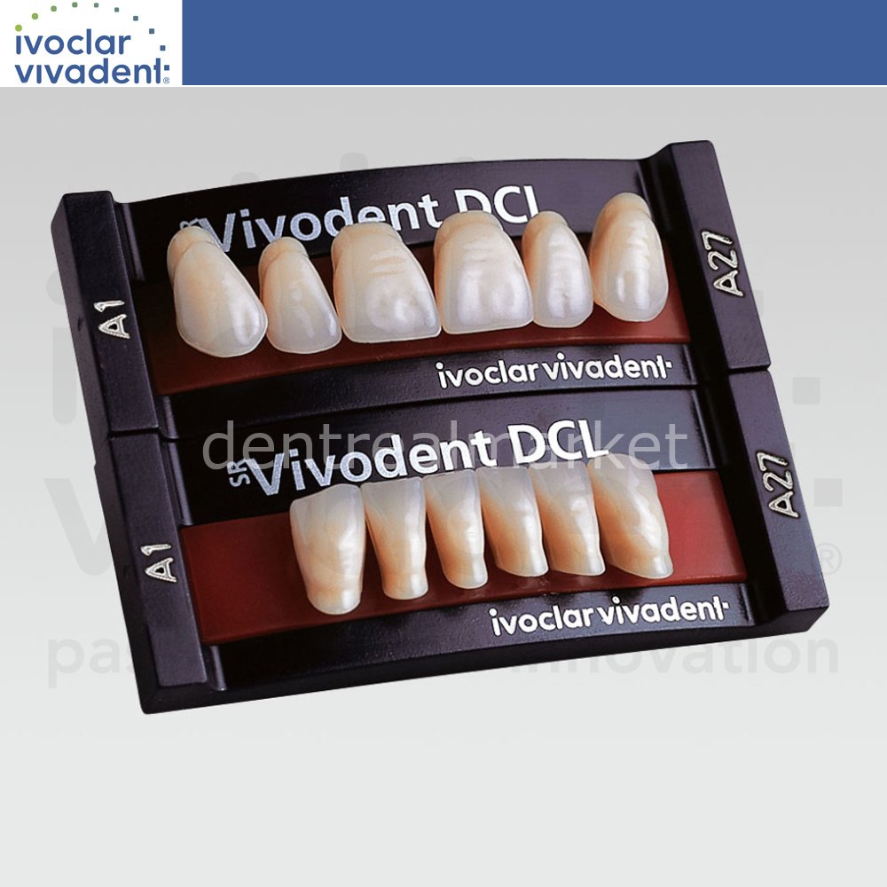 Sr Vivodent DCL 6 Lik Üst Anterior Diş