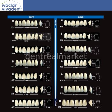 Sr Vivodent DCL 6 Lik Üst Anterior Diş