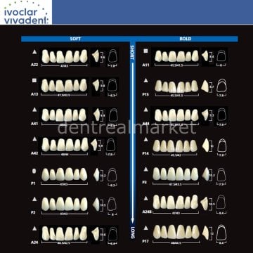 Sr Vivodent DCL 6 Lik Üst Anterior Diş