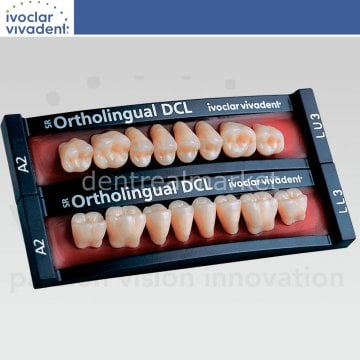 Sr Orthotpy DCL Posterior 8'lik Diş