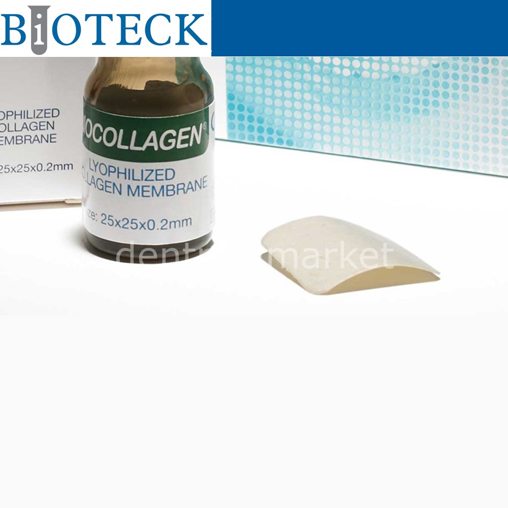 Collagen Membran - 15*20 mm