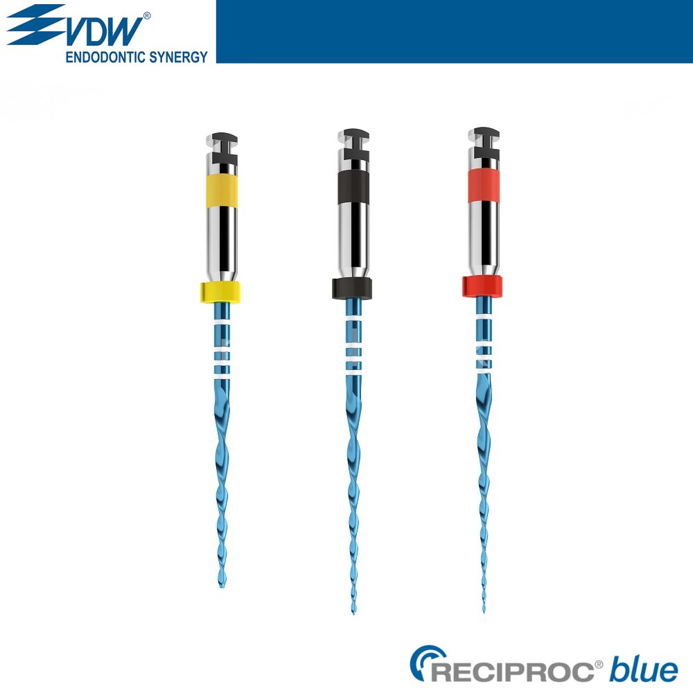 Reciproc Blue Rotary Kanal Egesi 6'lı Blister