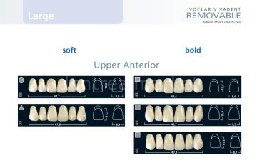 İvostar Üst Anterior 6'lık Diş