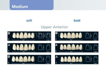 İvostar Üst Anterior 6'lık Diş