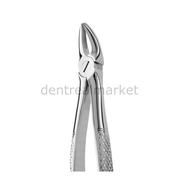 Davye Upper Molar Left - 136