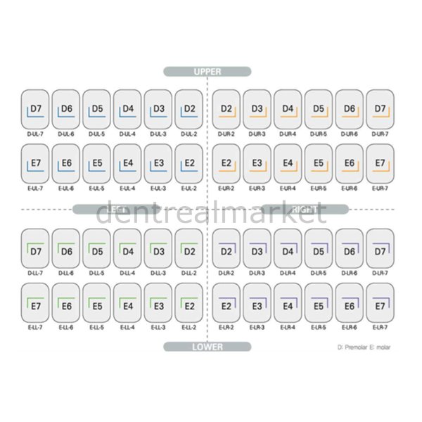 Kids Crown Paslanmaz Çelik Kuron Asorti Set 96 Kron - Molar