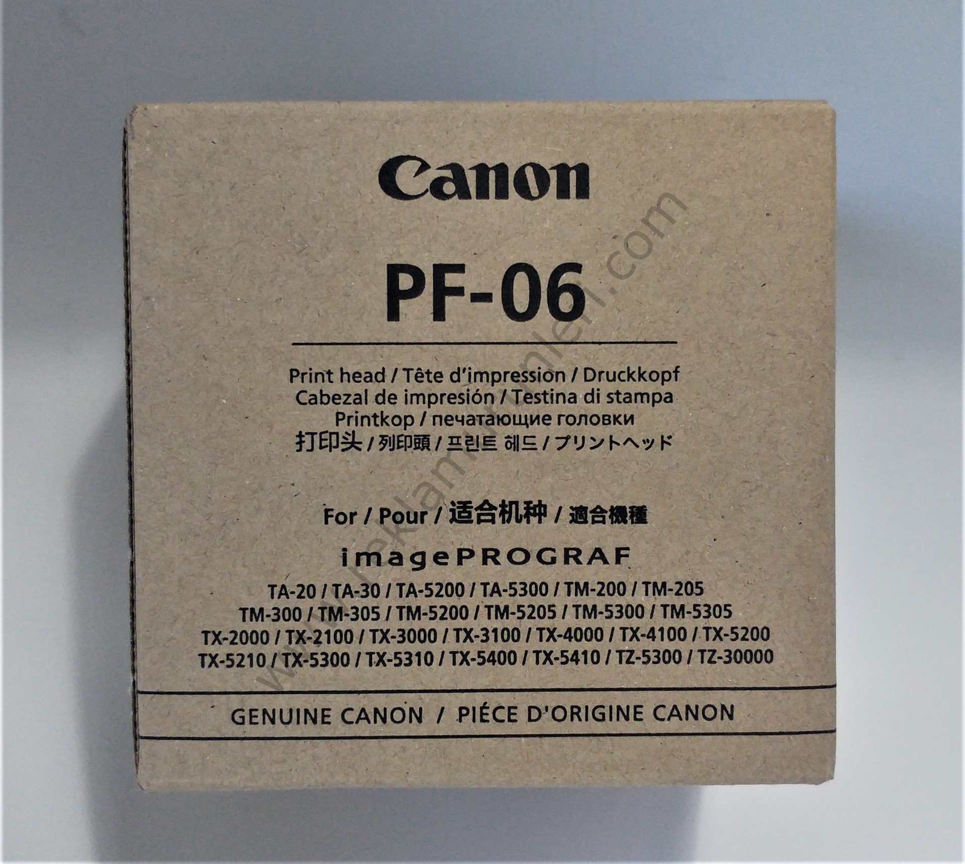 Canon PF-06 Baskı Kafası