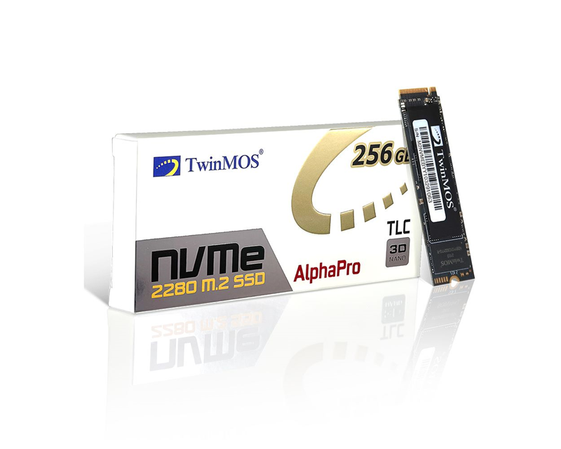 TwinMOS 256GB 2455/1832 MB/s PCIe NVME M.2 Performans SSD