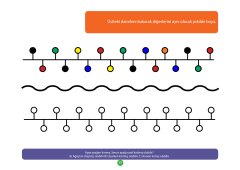 Dikkat Geliştirme Seti 1. Sınıf