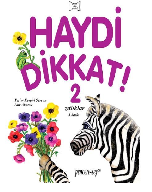 Haydi Dikkat 2