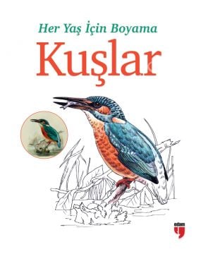 Her Yaş İçin Boyama Kuşlar