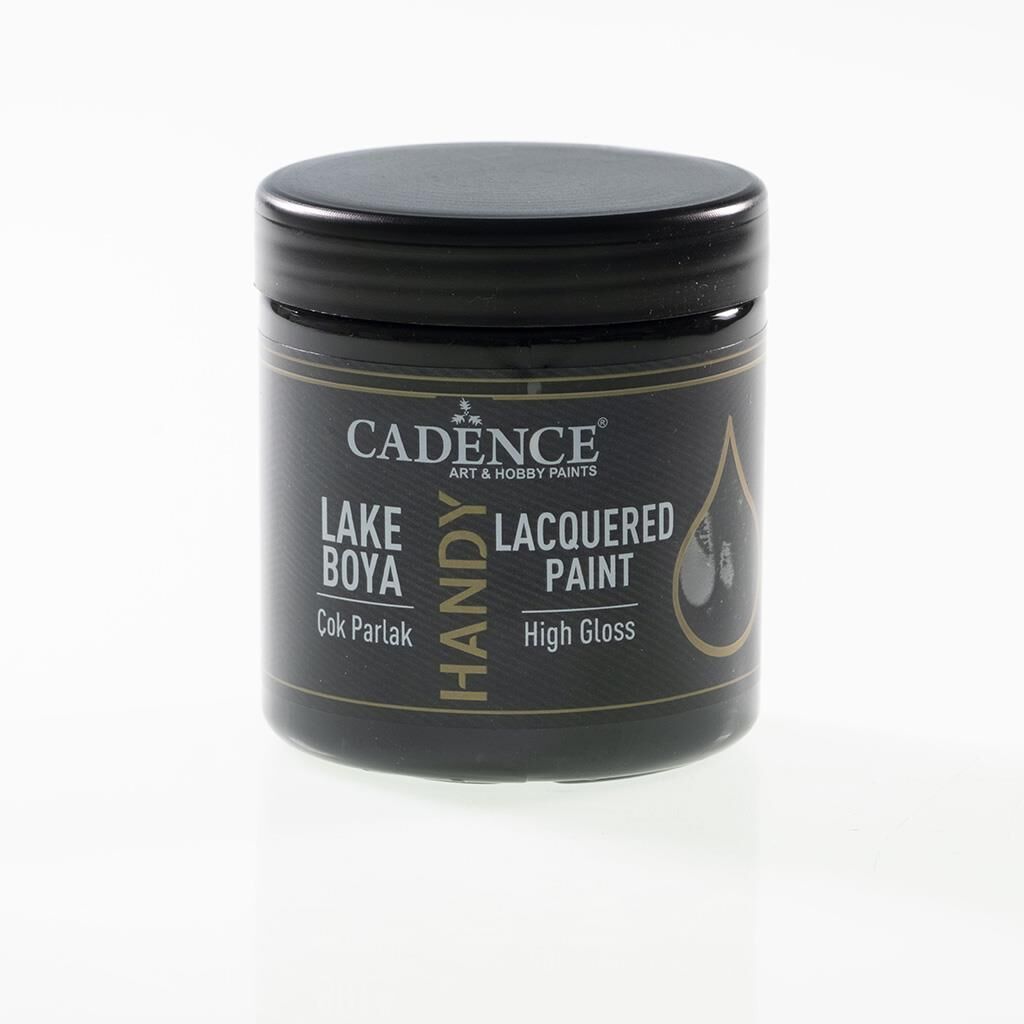 Cadence Handy Lake Boya Parlak 250ml 060 SİYAH