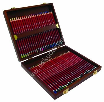 Derwent Pastel Pencils 48'li Ahşap Set