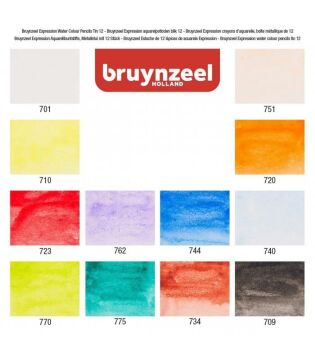 Bruynzeel Expression Series Sulu Boya Kalem Seti 12'li