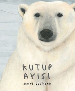 Kutup Ayısı