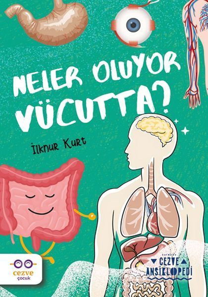 Neler Oluyor Vücutta ? – Cezve Ansiklopedi