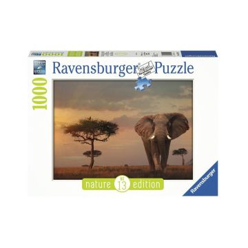 151592 Ravensburger, Fil, 1000 Parça Puzzle