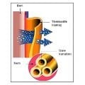 Thermoform Thermolite 4 Mevsim Çoraplar