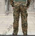 USMC FROG Digital Woodland Combat Pants