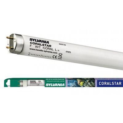 Sylvania 18W Coralstar T8 Floresan Ampul, Tuzlu Su ve Akvaryum İçin 60cm, STOK SORUNUZ