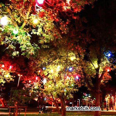 Marketcik Turkuaz Renk Park Bahçe Ağaç Feneri Işığı