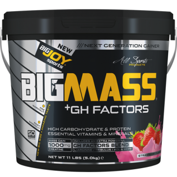 Bigjoy Sports BIGMASS Gainer GH FACTORS Çilek 5000g