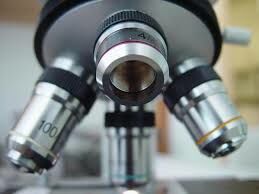 Mikroskoplar ve Mercekler: Görüntüleme ve Bilimsel Keşifteki Önemi