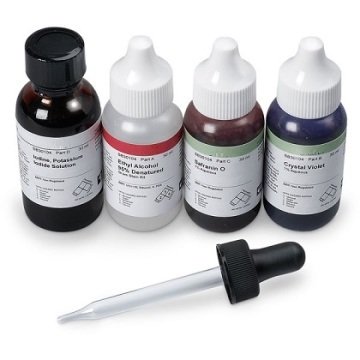 MGG Quick Stain Set - 500 TEST