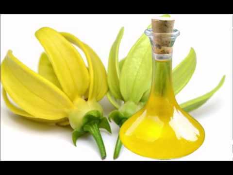 YLANG YLANG YAĞI 1 KG