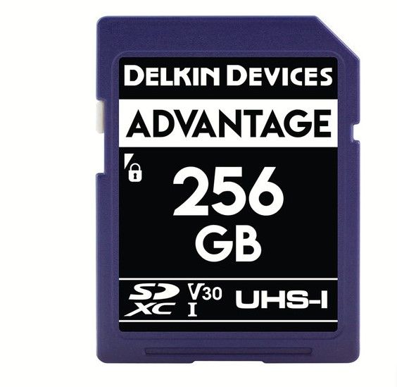 Delkin Devices 256GB Advantage UHS-I SDXC Hafıza Kartı