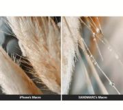 SANDMARC Macro 25 mm Lens (iPhone 15 Pro Max)