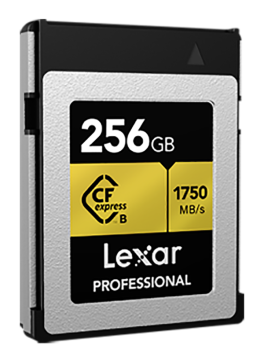 Lexar 256GB Professional CFexpress Type-B 1750MB/sn Hafıza Kartı