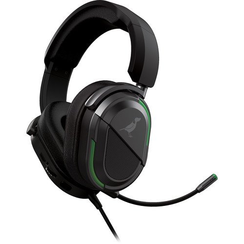 BirdDog Headset