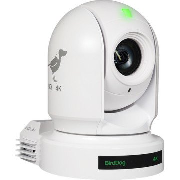 BirdDog Eyes P400 (White)