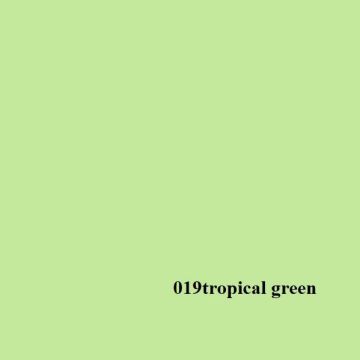 Grace Stüdyo Kağıt Fon 2,72 m x 11m - Tropical Green 019