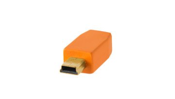 TetherPro USB 2.0 to Mini-B 5-Pin Bağlantı Kablosu (CU5451)