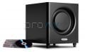 DSW MICRO PRO 1000 Subwoofer