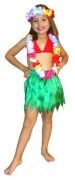 Hawaii Kostümü