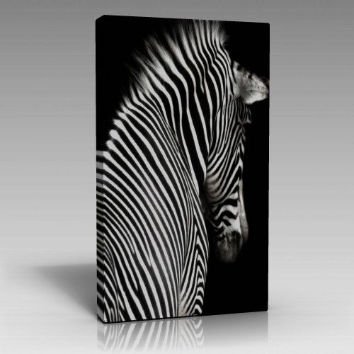 Zebra Tablo