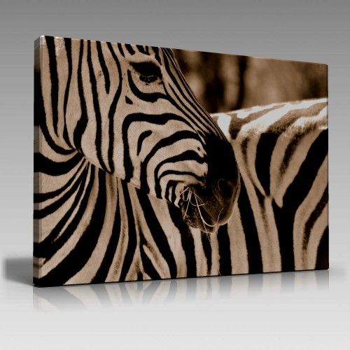 Zebra-2 Tablo