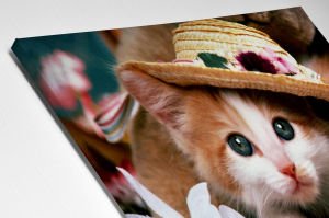 Şapkalı Kedi Led Kanvas  Işıklı Tablo