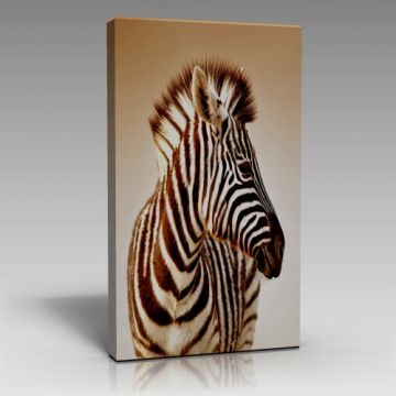 Kahverengi Zebra Tablo