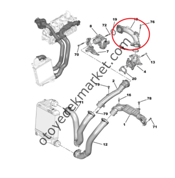 Citroen Jumpy (2020-2022) 1.5 Blue Hdi Hava Dozlayıcı Borusu (Orijinal)