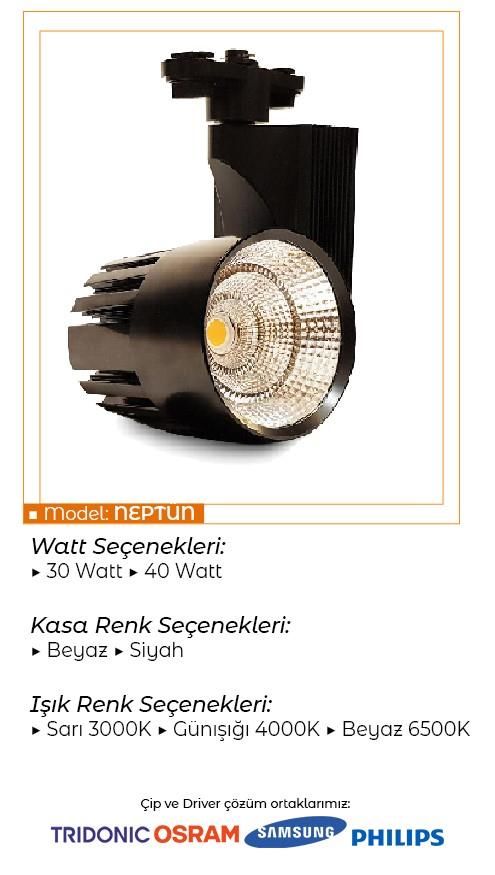 Ledli Ray Spot Siyah Kasa 40 Watt Sıcak Beyaz 4000 K